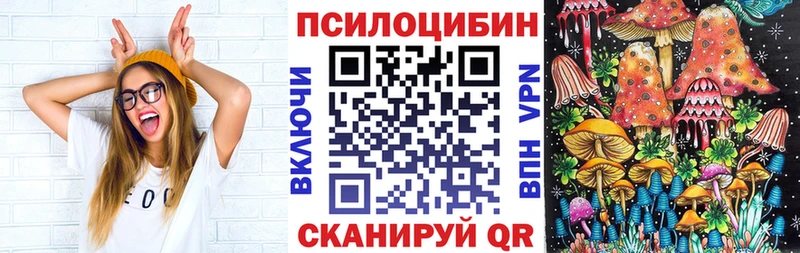 Псилоцибиновые грибы Magic Shrooms  Купить где  Краснозаводск 